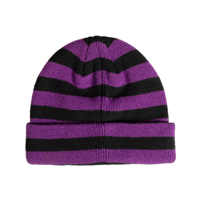 BAM STRIPED BEANIE	PURPLE / BLACK BAM MARGERA