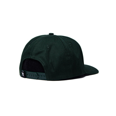 INSIGNIA CURVE	FERN / BLACK